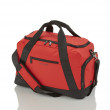 Дорожня сумка Travelite Flow TL006774-10